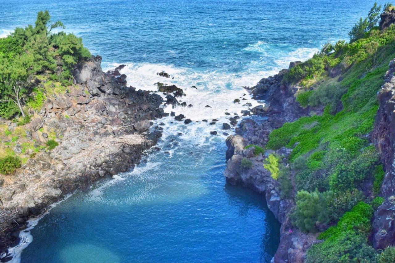 L'Abri-Cotier A 150M De La Plage De Boucan Saint-Gilles-les Bains Dış mekan fotoğraf